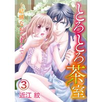 とろとろ茶室〜結構なおてまえで〜3