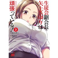 生徒会副会長矢上さゆりは頑張っている! 3