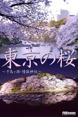 Tokyo Cherry Blossom Ver.06 κ Ļʥҡ
