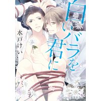 白いバラを君に【イラスト付】