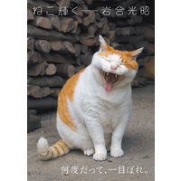 岩合光昭写真集 ねこ輝く