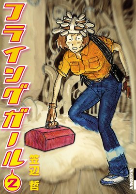 �ե饤�󥰥�����