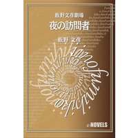 飯野文彦劇場 夜の訪問者