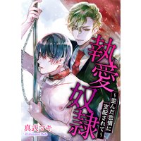 執愛奴隷〜歪んだ恋情に支配されて〜