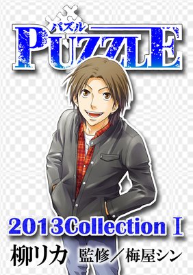 PUZZLE2013collectionI
