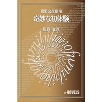飯野文彦劇場 奇妙な初体験