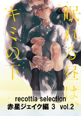 recottia selection 3 vol.2