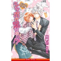 シッポが足りない!? −キツネと仔作り−【イラスト入り】