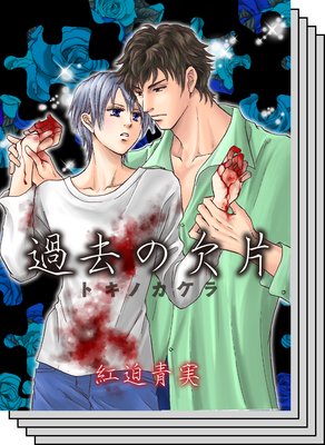 【全巻セット】過去の欠片
