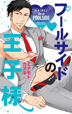 �ס��륵���ɤβ�����