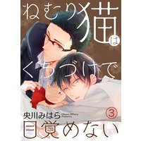 【特典付き】ねむり猫はくちづけで目覚めない(3)