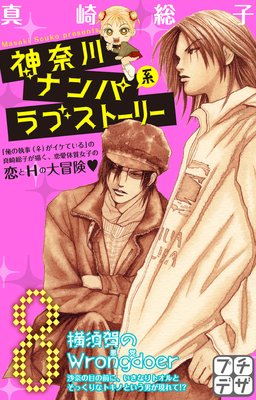 ������ʥ�ѷϥ�֥��ȡ��꡼ �ץ��ǥ� 8��