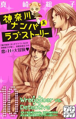 ������ʥ�ѷϥ�֥��ȡ��꡼ �ץ��ǥ� 10��