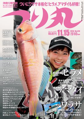 �Ĥ�� 2016ǯ 11��15���ɽ��