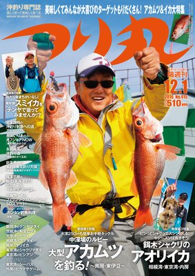 �Ĥ�� 2016ǯ 12��1���ɽ��