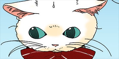 �ͤ��ʤ� 4�ڥե륫�顼��