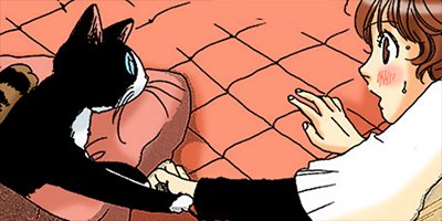 �ͤ��ʤ� 6�ڥե륫�顼��