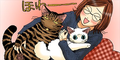 �ͤ��ʤ� 10�ڥե륫�顼��