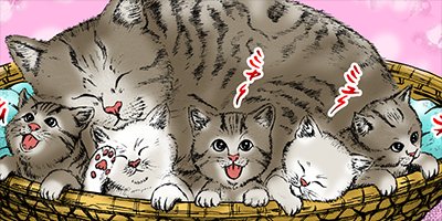 ���Хϥ�SOUL 25�ڥե륫�顼��