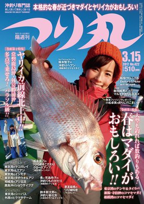 �Ĥ�� 2017ǯ 3��15���ɽ��