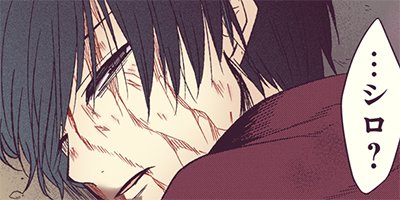 ��ΤΤٸŽ�Ź������ 24�ڥե륫�顼��