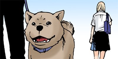 ��������ή�� 11�ڥե륫�顼��