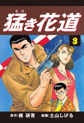 �Ԥ���ƻ��3��