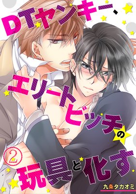 DT��󥭡������꡼�ȥӥå��δ��Ȳ���