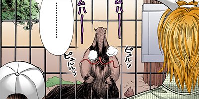 僕と彼女の××× 34【フルカラー】