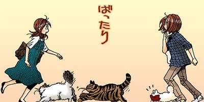 �ͤ��ʤ� 12�ڥե륫�顼��