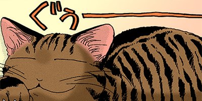 �ͤ��ʤ� 13�ڥե륫�顼��