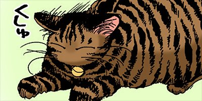 �ͤ��ʤ� 15�ڥե륫�顼��