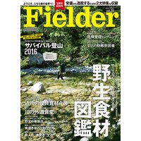 Fielder vol.30