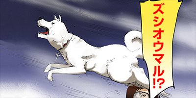 ����� �ͤ�23�ͤ����� 90�ڥե륫�顼��