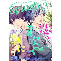 Splush vol.13 青春系ボーイズラブマガジン