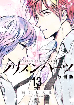 �ץꥺ��ϡ��� ʬ���� 13��