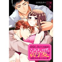 幼なじみの行き過ぎた溺愛〜暗闇で私を抱いたのは、誰?(2)