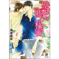 壁の中の嘘と秘密【イラスト入り】
