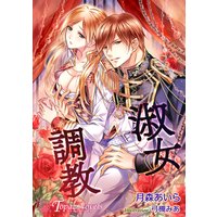淑女調教【書き下ろし・イラスト10枚入り】