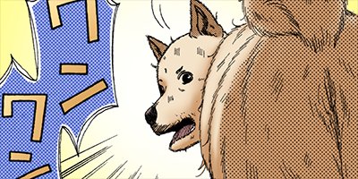 ���Ḥ�����δ��� 3�ڥե륫�顼��