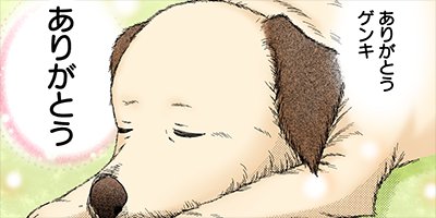 ���Ḥ�����δ��� 6�ڥե륫�顼��