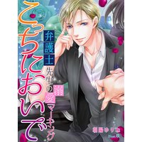 こっちにおいで〜弁護士先生の溺愛マーキング〜