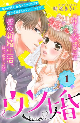 ウソ婚 分冊版 14巻 | 時名きうい | Renta!