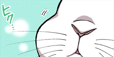 ������������ 4�ڥե륫�顼��