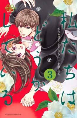 私たちはどうかしている 19巻 千代の春【電子限定描き下ろしマンガ付き