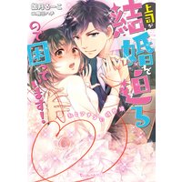 上司が結婚を迫るので困っています!〜私とアナタの境界線〜