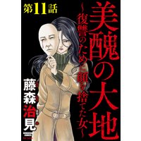 美醜の大地〜復讐のために顔を捨てた女〜(分冊版) 【第11話】共謀