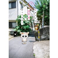 メチャイロちいき猫やってます!