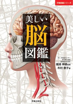 ������Ǿ�޴դ�ɽ��