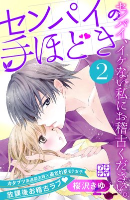 ����ѥ��μ�ۤɤ� �ץ��ǥ� 2��